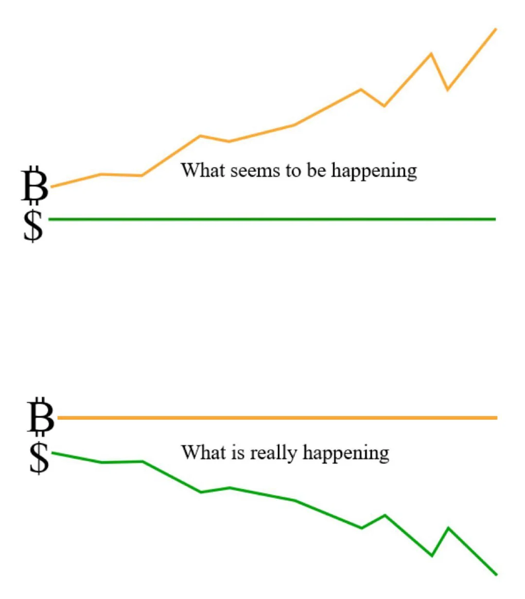 btcusd